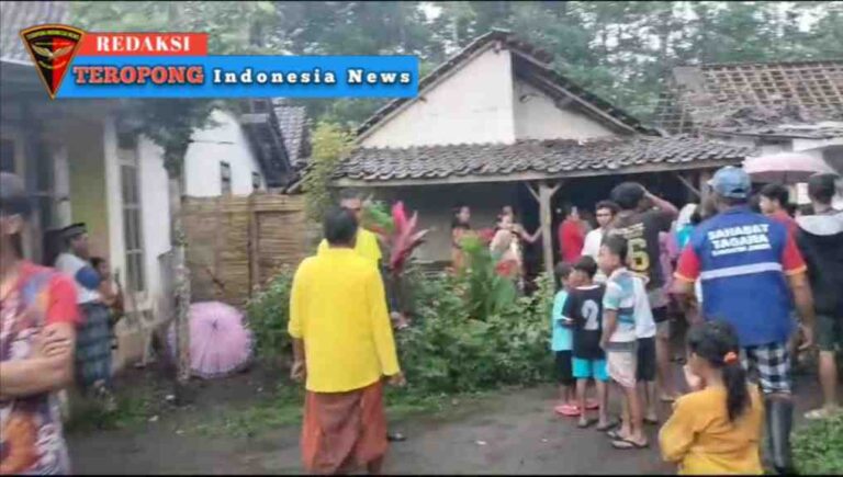 IMG_20240110_015425_copy_1016x576