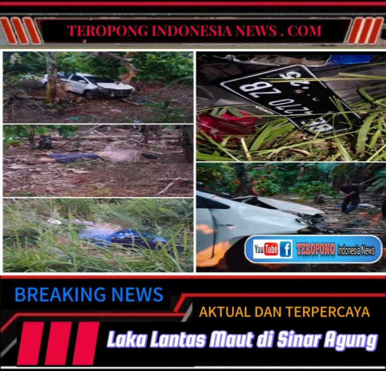 2024032422443231_copy_1024x983