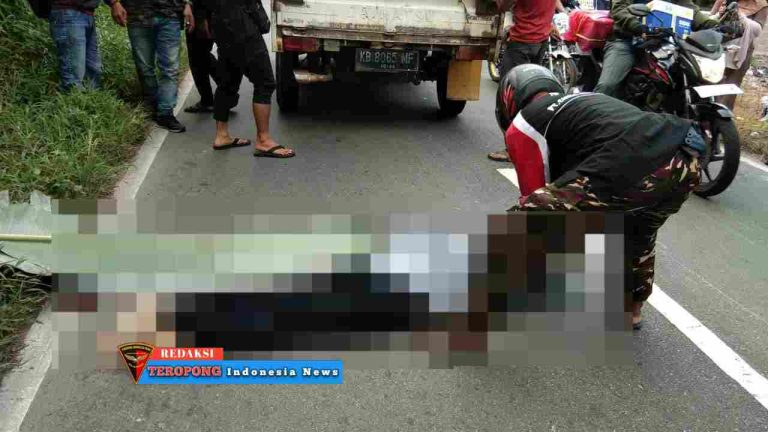 IMG-20240229-WA0462_copy_1280x720