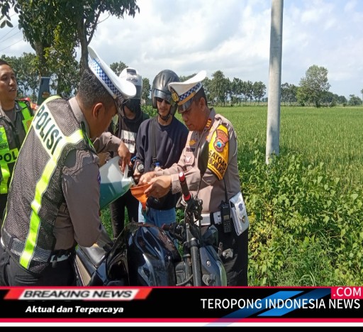 2024041519150580_copy_512x468