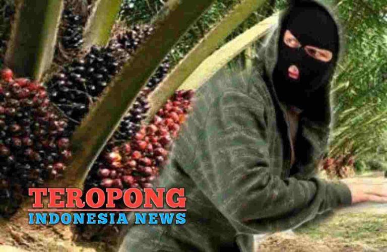 20240415_212124_copy_1280x833