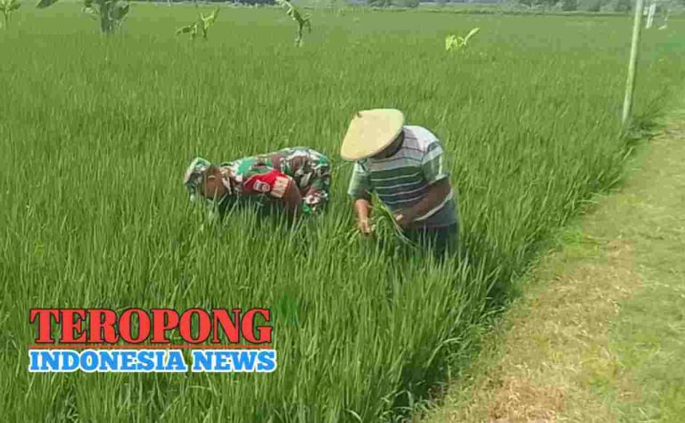 20240417_194554_copy_1280x790