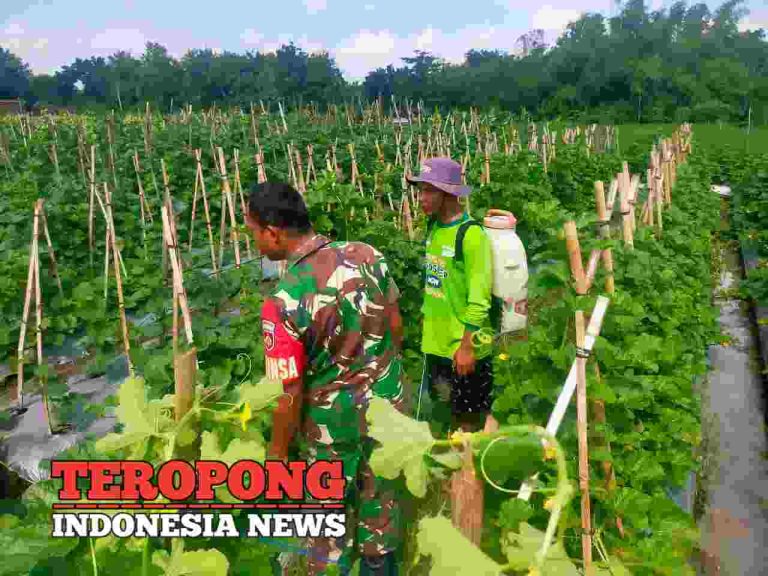 20240422_172715_copy_1280x960