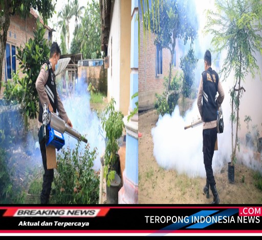 2024042820475190_copy_512x468