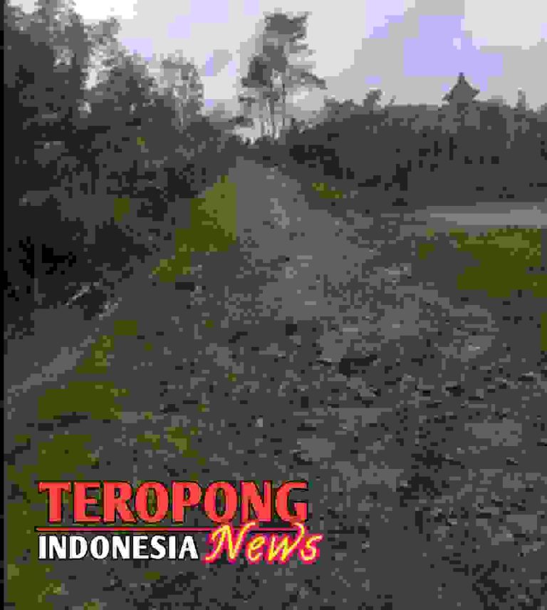 20240502_143952_copy_1149x1280