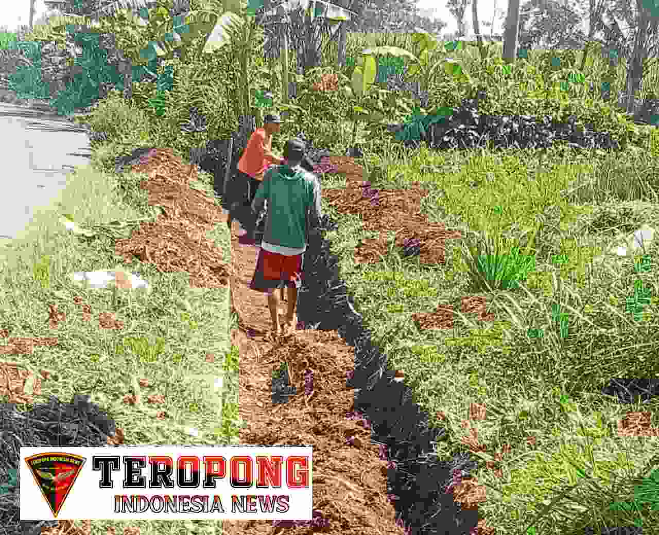 20240506_151659_copy_1280x1040