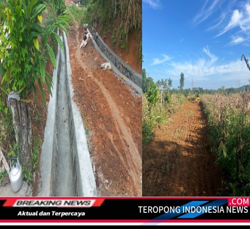 2024050814531693_copy_512x468