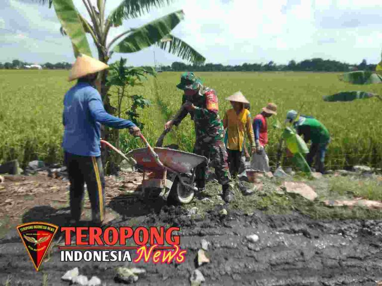 20240513_193618_copy_1280x960