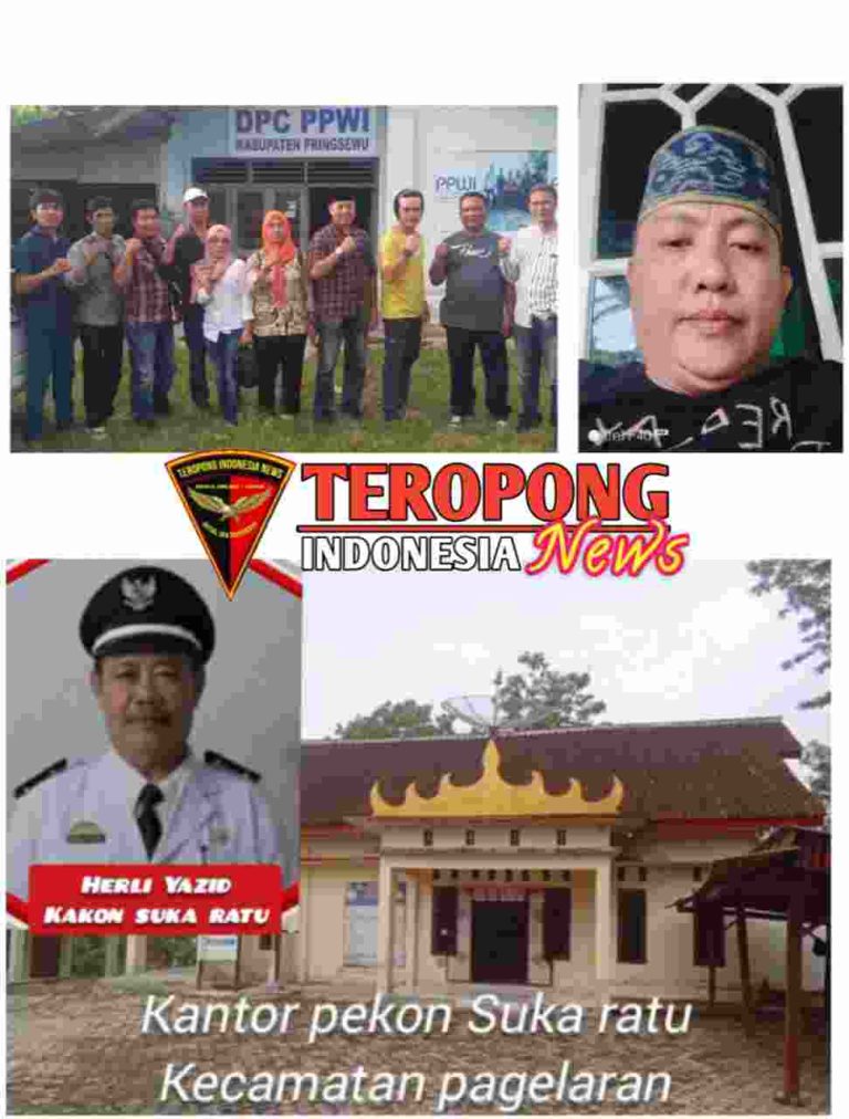 20240513_203149_copy_971x1280