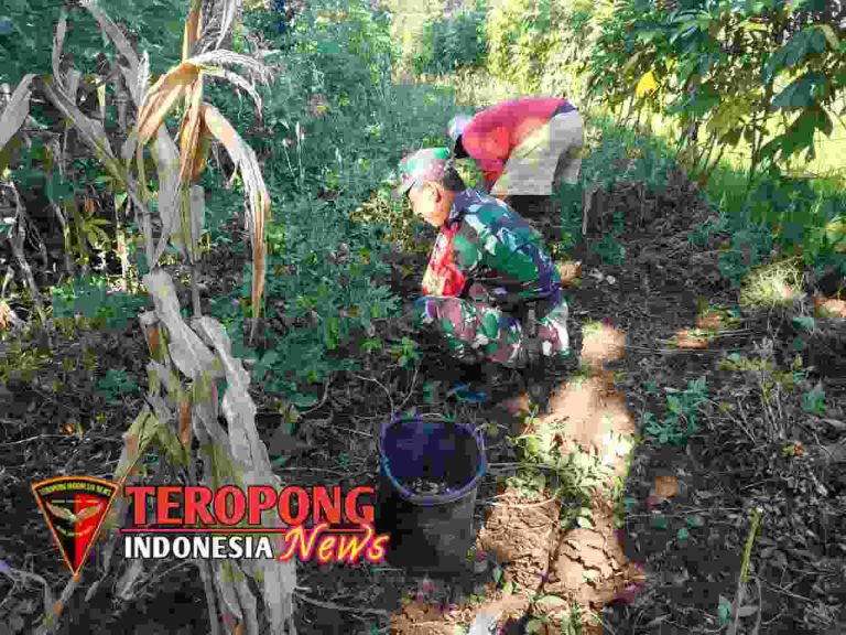 20240520_223326_copy_1280x960