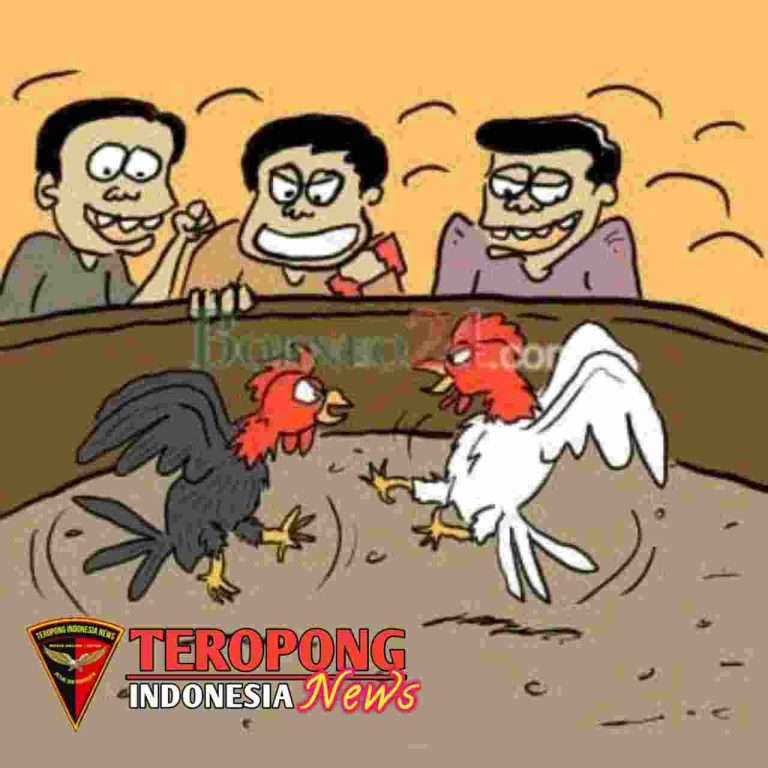 20240527_085503_copy_1280x1280