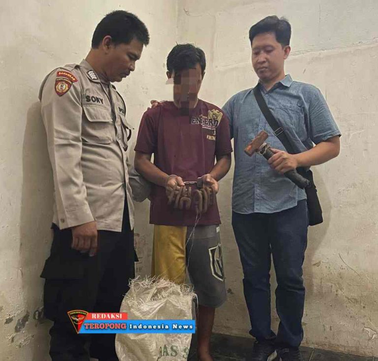 IMG-20240506-WA0204_copy_960x916