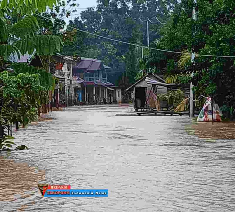 IMG-20240509-WA0205_copy_1080x978