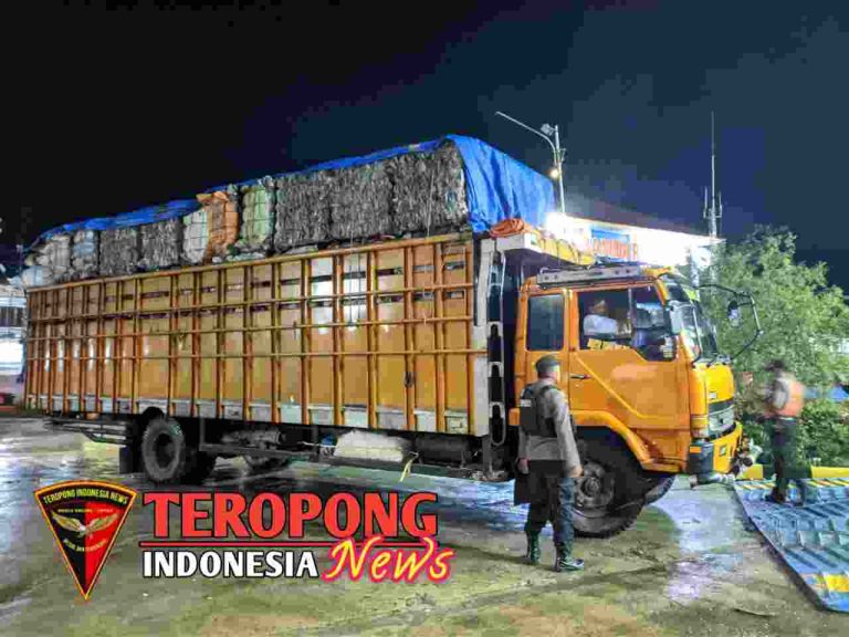 20240612_165232_copy_1280x960