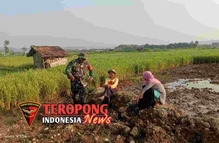 20240616_223228_copy_1280x835