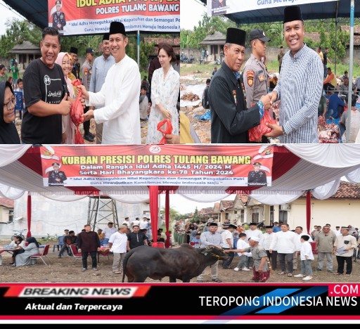 2024061802510335_copy_512x468