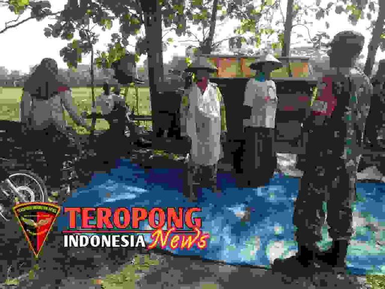 20240625_134109_copy_1280x960