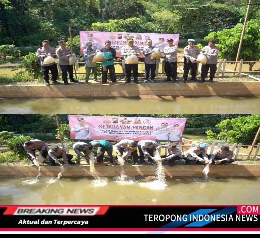 2024062811320449_copy_512x468