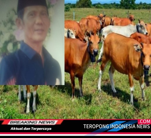 2024072314322215_copy_512x468