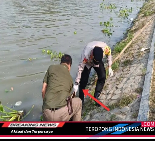 2024080221012516_copy_512x468