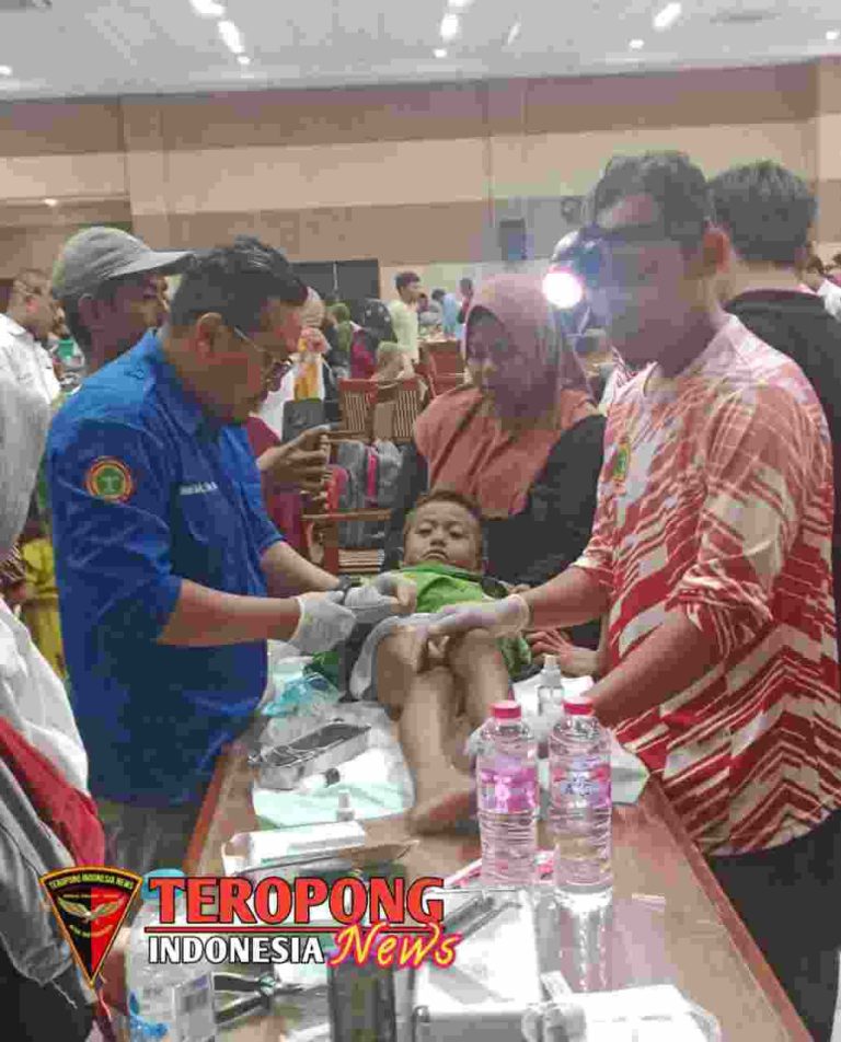 20240804_165435_copy_1033x1280_copy_1033x1280