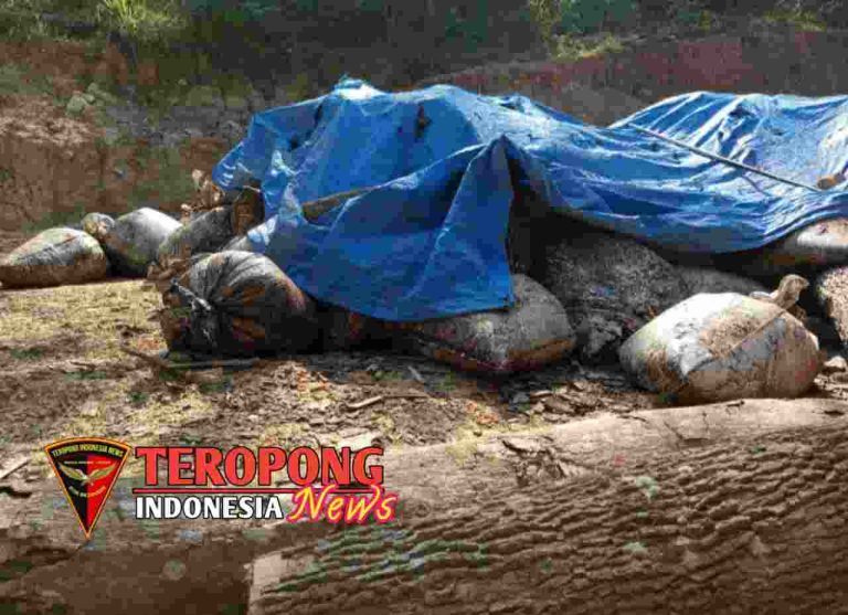 20240814_191957_copy_1280x929