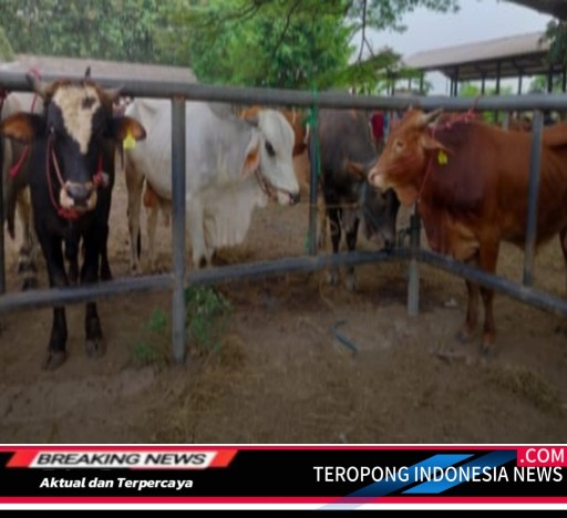 2024081612342444_copy_512x468