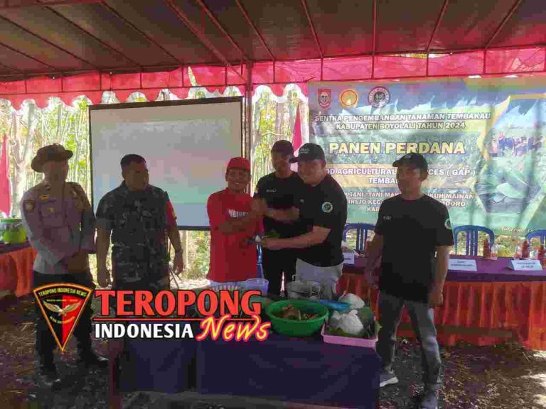 20240817_234533_copy_1280x960