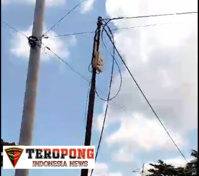 20240818_052559_copy_1280x1130