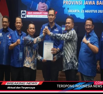 2024082503594764_copy_409x374