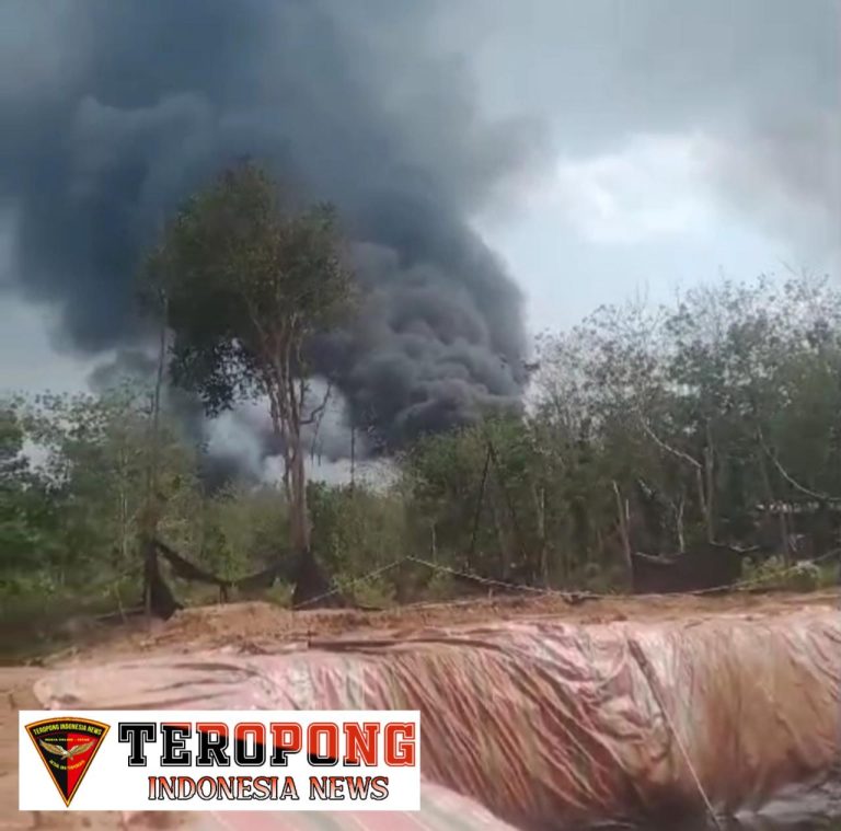 20240825_060649_copy_1280x1265