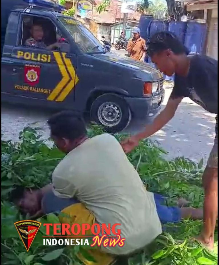 20241010_084230_copy_1055x1280