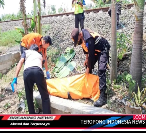 2024101303362574_copy_512x468