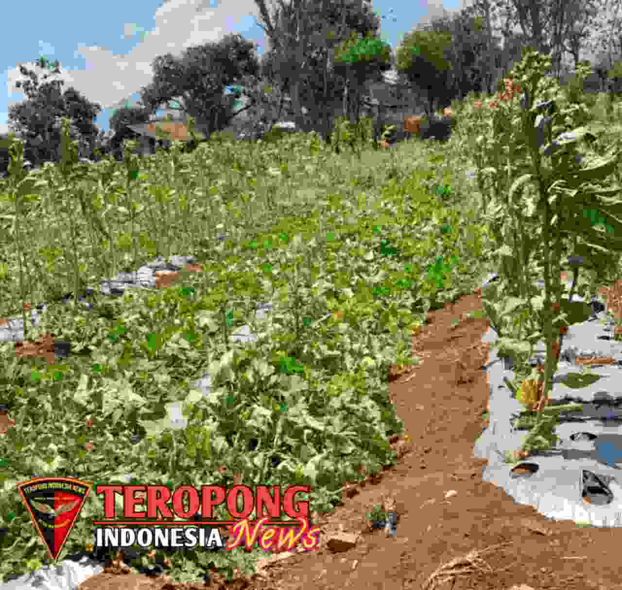 20241029_114011_copy_1280x1216