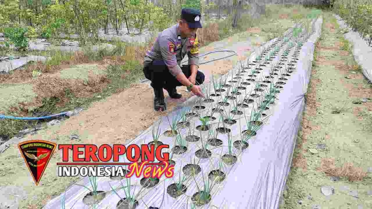 20241030_125610_copy_1280x720