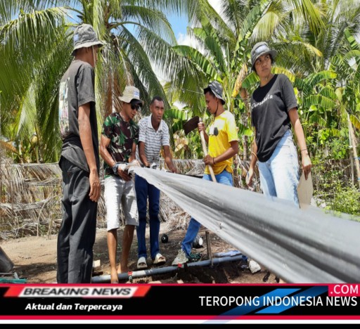 2024110105552285_copy_512x468_1