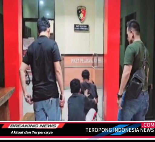 2024110111372914_copy_512x468