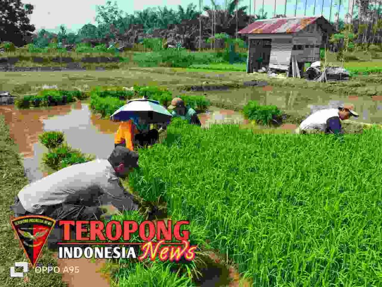 20241101_170842_copy_1280x960