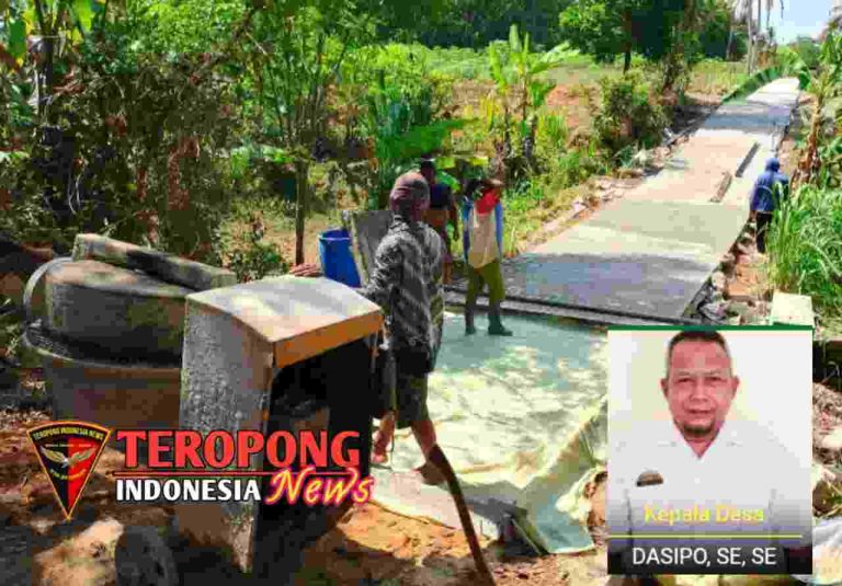 20241107_153218_copy_1280x892