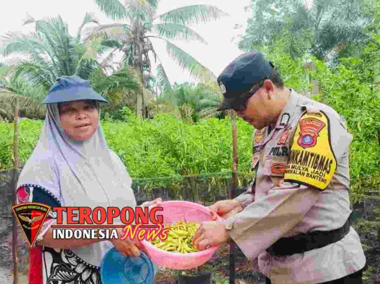 20241107_171901_copy_1280x955