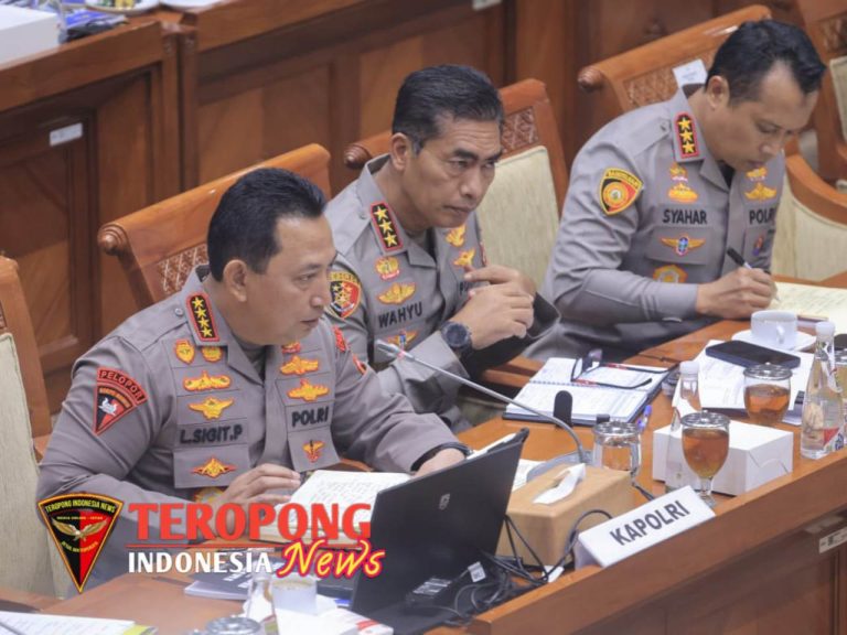 20241111_184649_copy_1280x960