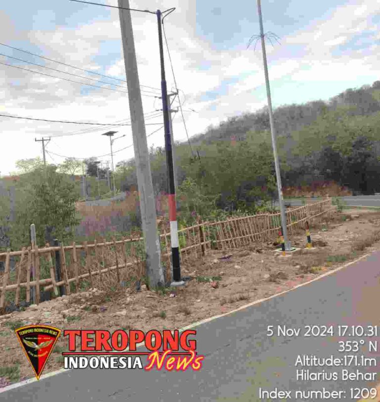 20241111_200443_copy_1210x1280