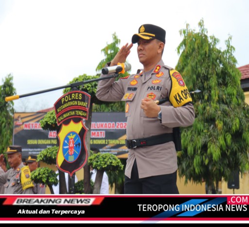 2024111203382747_copy_512x468