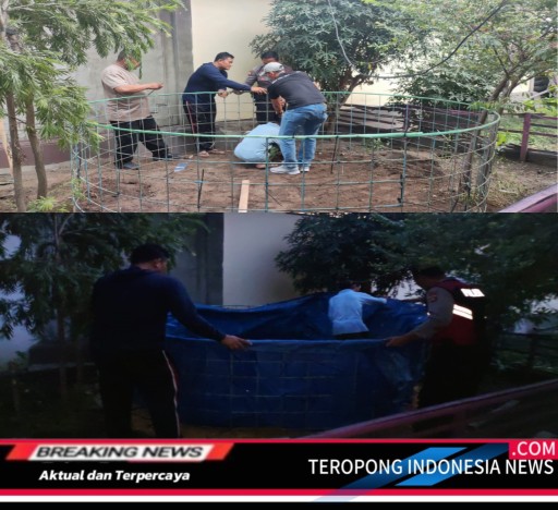 2024111212131294_copy_512x468