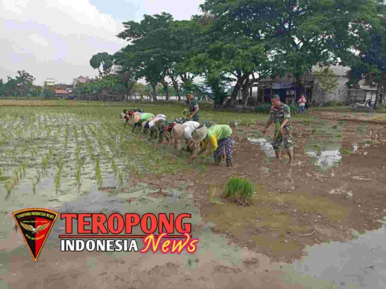 20241112_020128_copy_1280x960