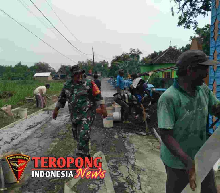 20241113_013006_copy_1280x1120