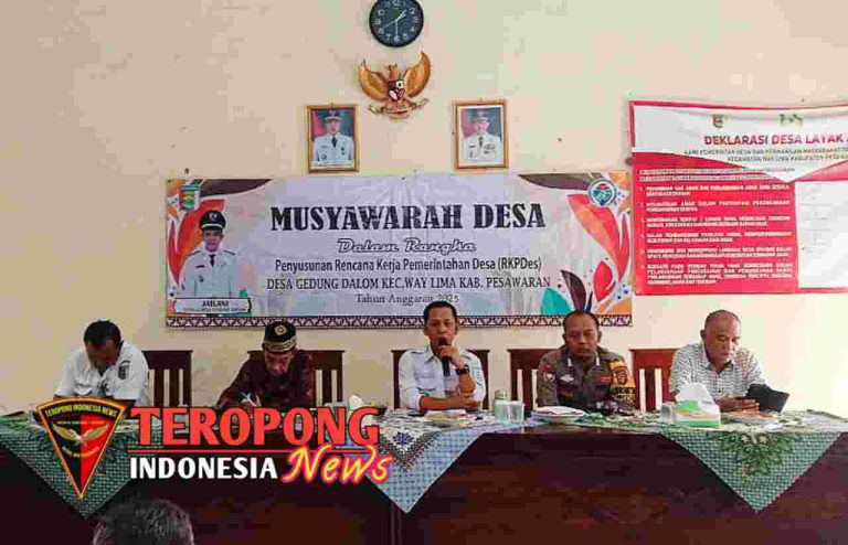 20241113_124608_copy_1280x824