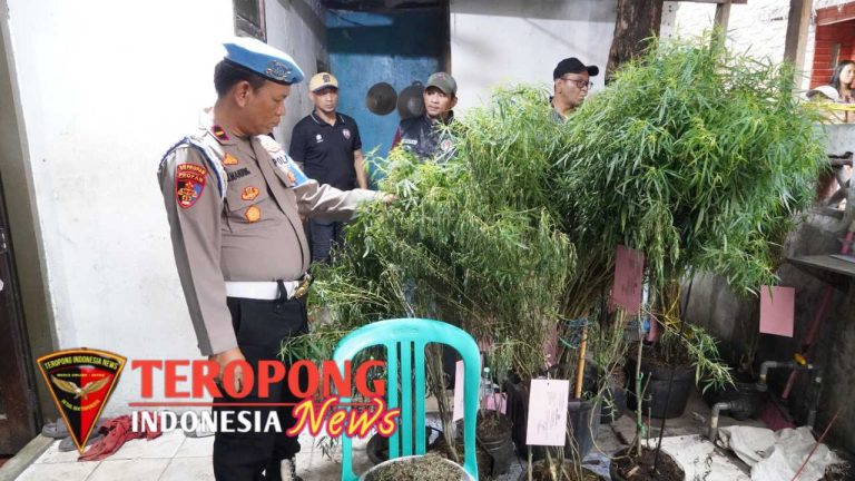 20241114_114201_copy_1280x720