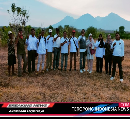 2024111614575655_copy_512x468