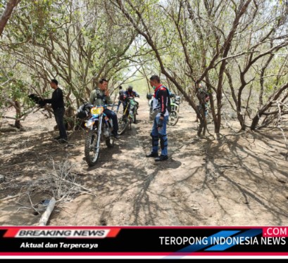 2024111811402074_copy_409x374